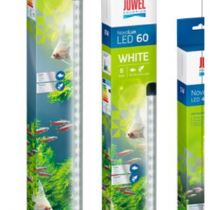 Publication de Lulu82