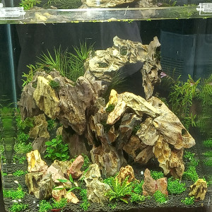 Publication de barbouille62