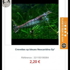 Publication de temarie91