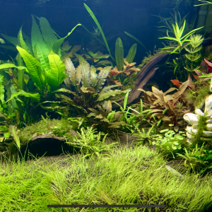 Publication de John42riorges