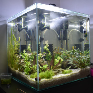 54L cubique