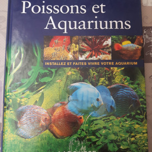 Publication de Lulu82