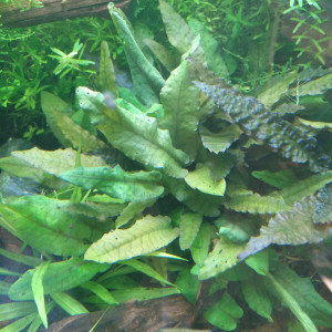 Publication de Stef7524