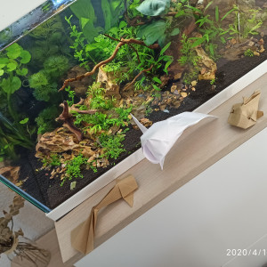 Publication de Alsept