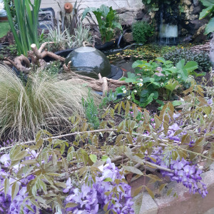 Publication de stephane-fleury