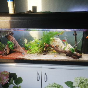 Publication de mickael-lecois