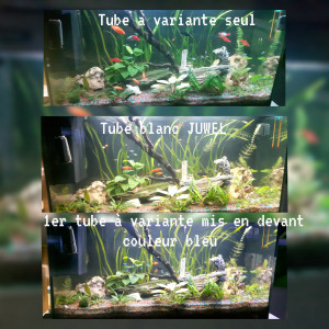 Publication de Lulu82