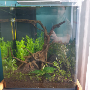 1 er aquarium