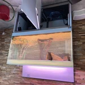 Publication de Gilles54