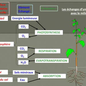 Publication de Lulu82