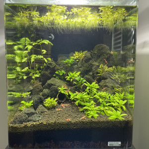 Publication de Luc67