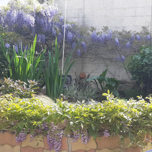 Publication de stephane-fleury