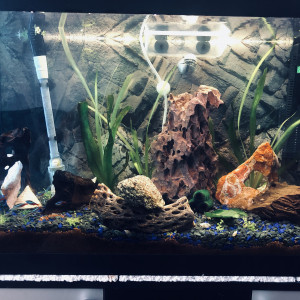 Publication de Beatzkilla