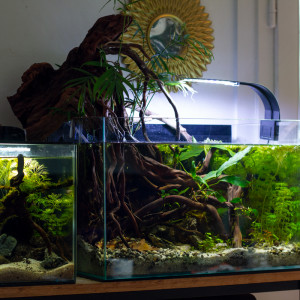 Publication de MrBear