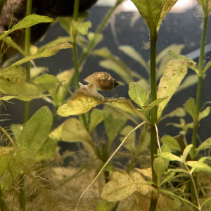 Publication de OlivierTlse