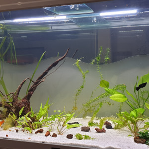 Publication de Marco13