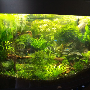 Publication de Stef7524