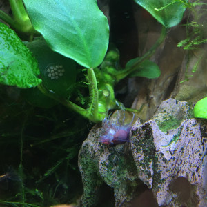 Publication de Alexxis