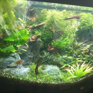 Publication de Stef7524