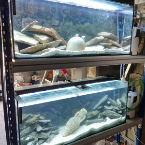 Publication de eddy38