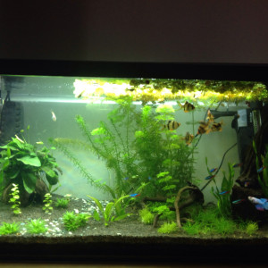 110 litres eau douce