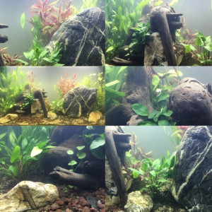 Publication de frederic_l