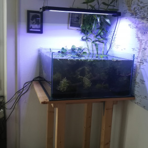 Low-tech bac ouvert