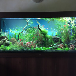 Publication de papaquinou