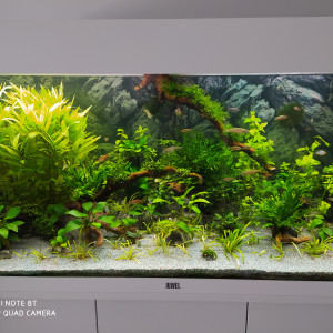 Publication de Kamelot