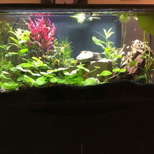 Publication de jean-martel