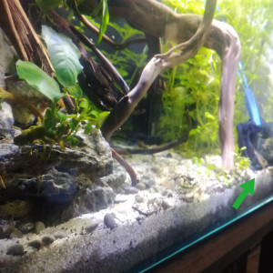 Publication de MrBear