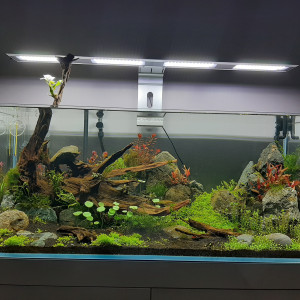 300L