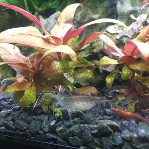 Publication de Alexxis