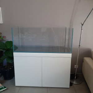Publication de Rasbora