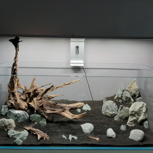 Publication de Rasbora