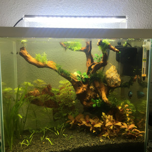 Publication de Alexxis