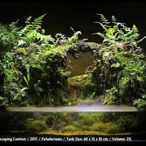 Publication de NakMuay