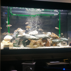 Publication de BIGBAT94