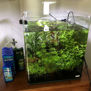 Publication de richardlaurentfoucault