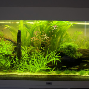 Rio 180