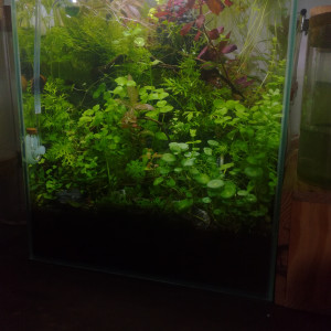 Publication de MrBear