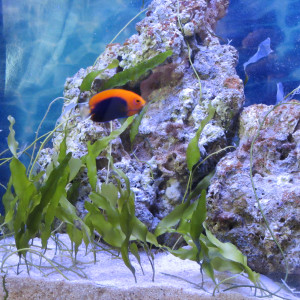 Publication de morgane5