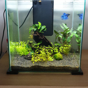 Mon premier Nano  30L