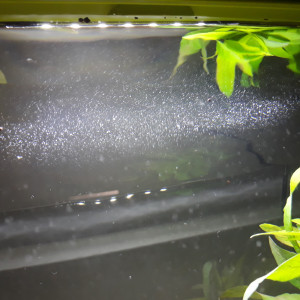 Publication de Antoine76