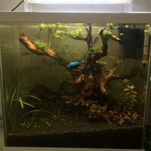 Publication de Alexxis