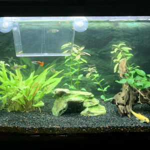 Aquarium