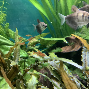 Publication de seb_the_crow