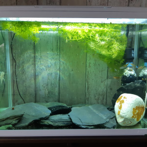 Publication de stephane-fleury