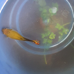 Publication de Kiki009