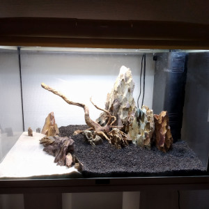 Publication de Nico83